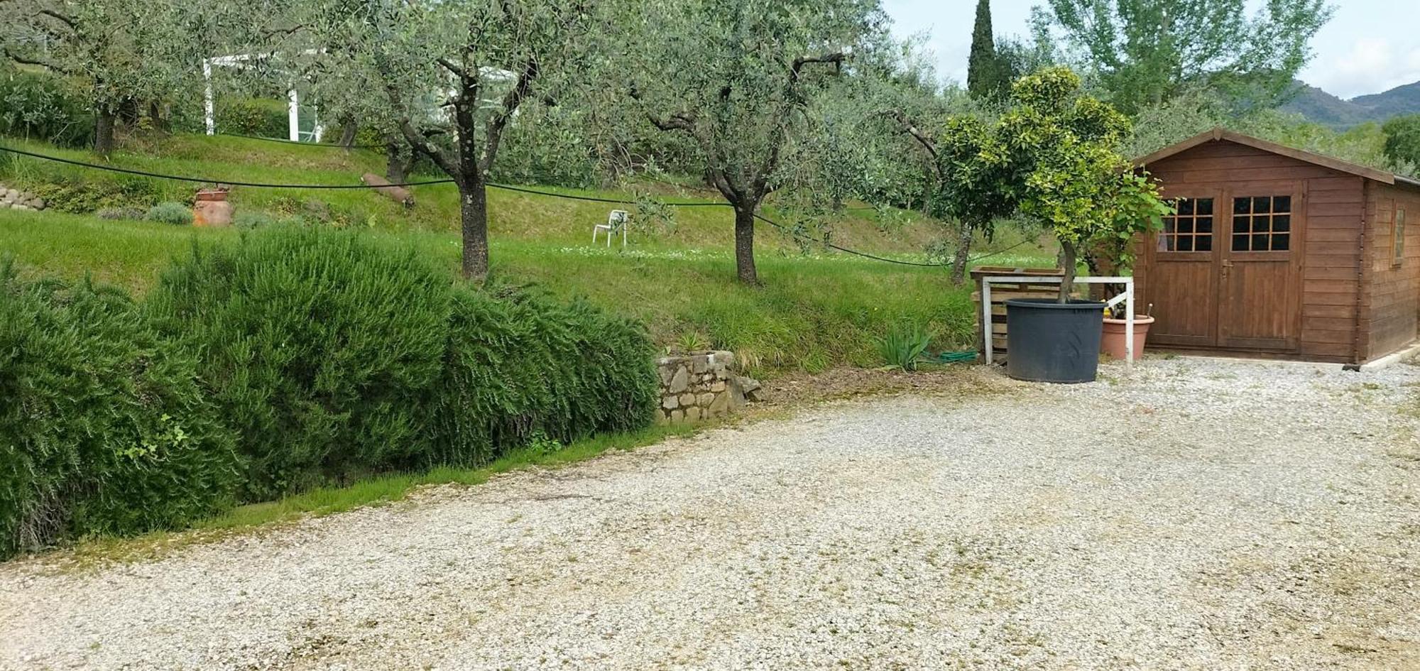 Apartamento Il Campano Collodi Exterior foto
