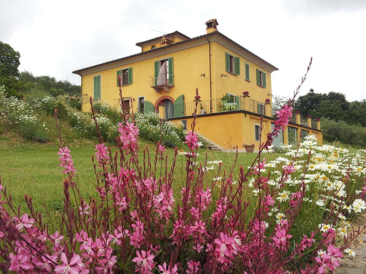 Apartamento Il Campano Collodi Exterior foto